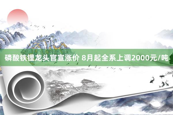 磷酸铁锂龙头官宣涨价 8月起全系上调2000元/吨