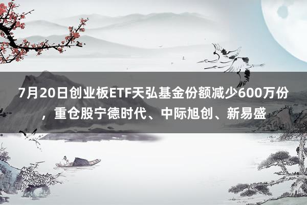 7月20日创业板ETF天弘基金份额减少600万份，重仓股宁德时代、中际旭创、新易盛