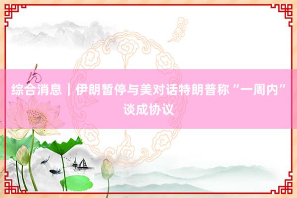 综合消息｜伊朗暂停与美对话　特朗普称“一周内”谈成协议