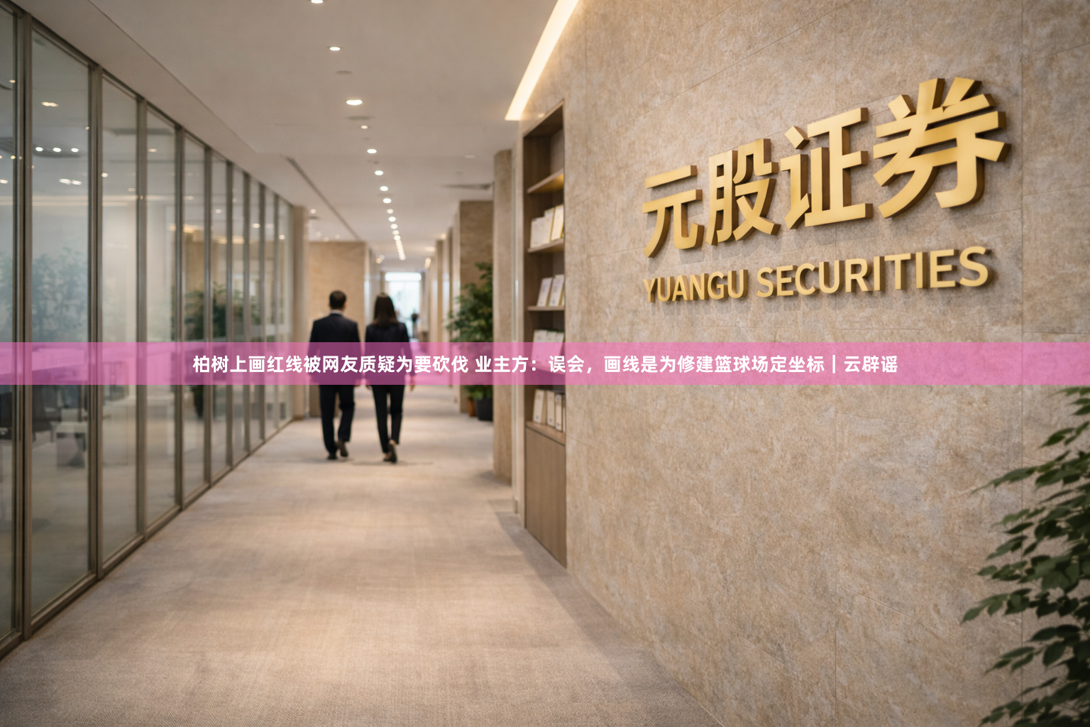 柏树上画红线被网友质疑为要砍伐 业主方：误会，画线是为修建篮球场定坐标｜云辟谣