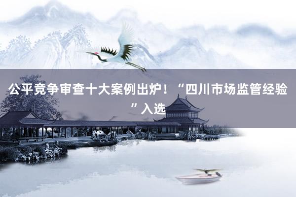 公平竞争审查十大案例出炉！“四川市场监管经验”入选