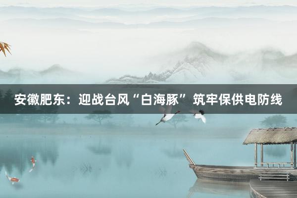 安徽肥东：迎战台风“白海豚” 筑牢保供电防线