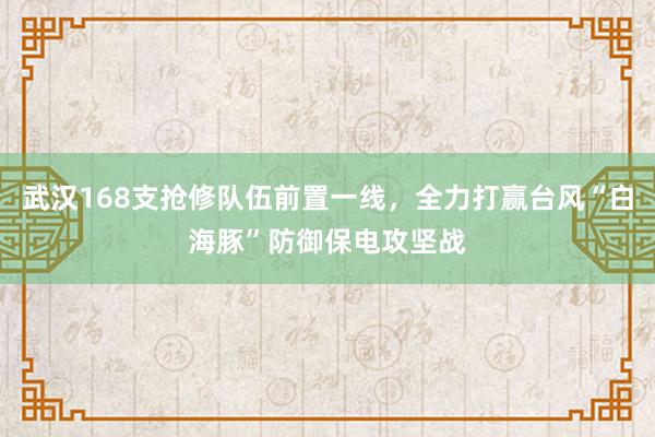 武汉168支抢修队伍前置一线，全力打赢台风“白海豚”防御保电攻坚战