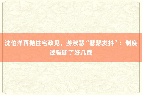 沈伯洋再抛住宅政见，游淑慧“瑟瑟发抖”：制度逻辑断了好几截