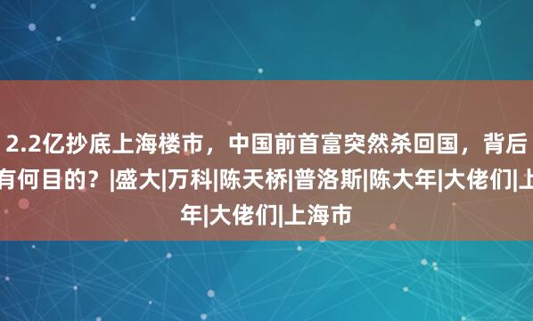 2.2亿抄底上海楼市，中国前首富突然杀回国，背后究竟有何目的？|盛大|万科|陈天桥|普洛斯|陈大年|大佬们|上海市