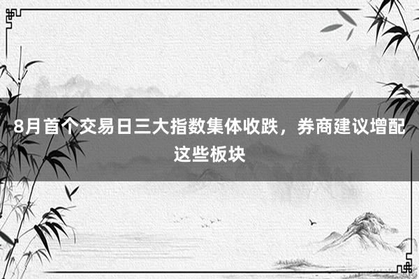 8月首个交易日三大指数集体收跌，券商建议增配这些板块