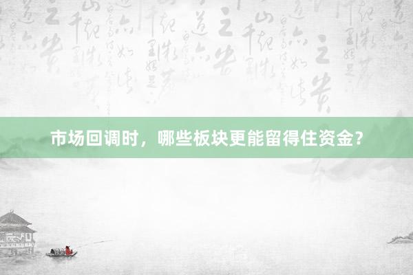 市场回调时，哪些板块更能留得住资金？
