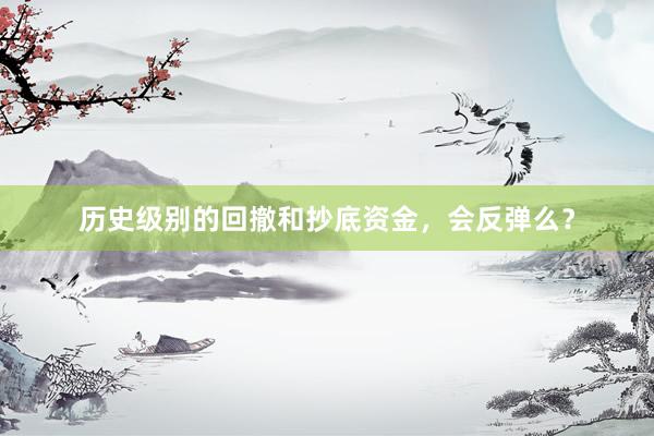 历史级别的回撤和抄底资金，会反弹么？