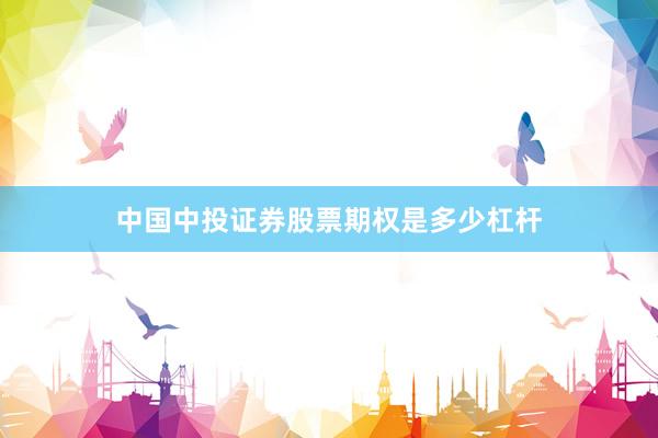 中国中投证券股票期权是多少杠杆