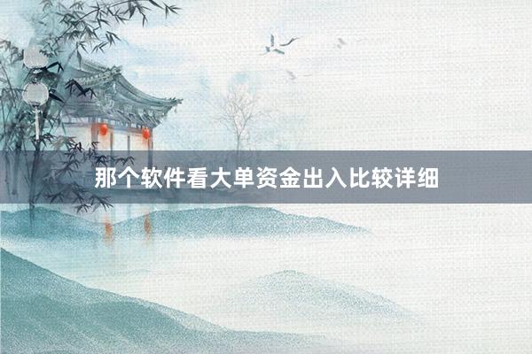 那个软件看大单资金出入比较详细