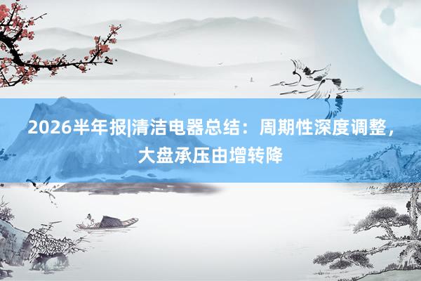 2026半年报|清洁电器总结：周期性深度调整，大盘承压由增转降