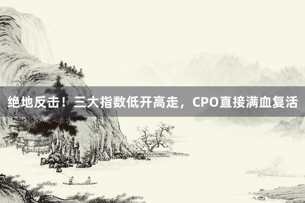 绝地反击！三大指数低开高走，CPO直接满血复活