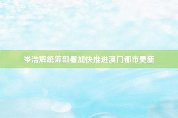 岑浩辉统筹部署加快推进澳门都市更新