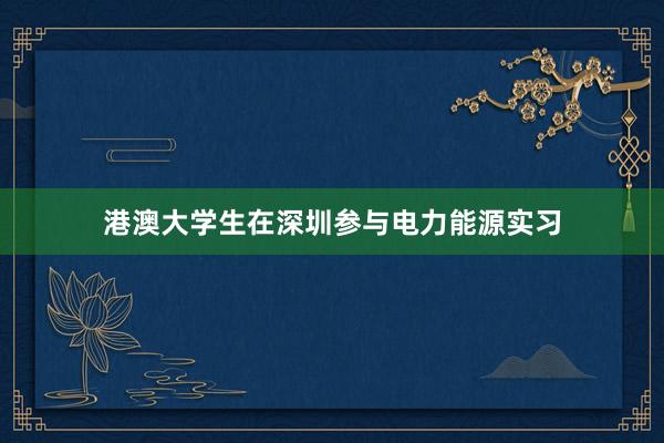 港澳大学生在深圳参与电力能源实习