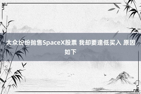 大众纷纷抛售SpaceX股票 我却要逢低买入 原因如下