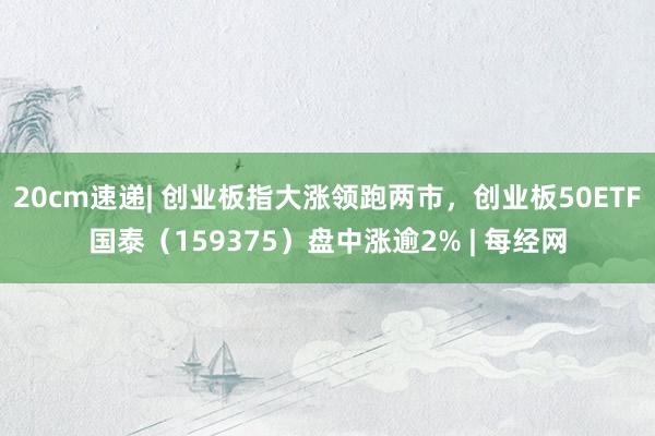 20cm速递| 创业板指大涨领跑两市，创业板50ETF国泰（159375）盘中涨逾2% | 每经网