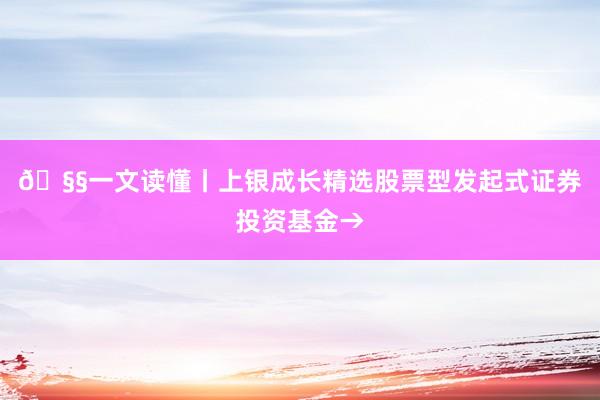 🧧一文读懂丨上银成长精选股票型发起式证券投资基金→