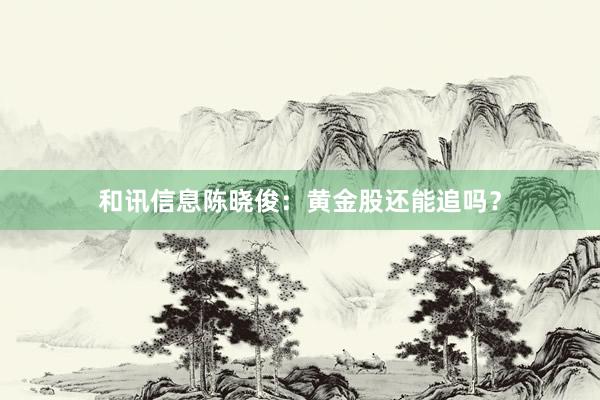 和讯信息陈晓俊：黄金股还能追吗？