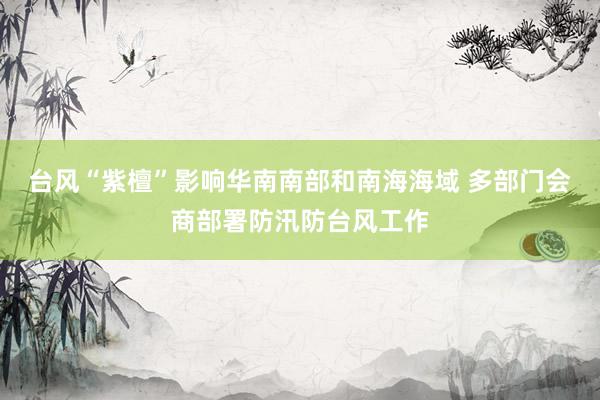 台风“紫檀”影响华南南部和南海海域 多部门会商部署防汛防台风工作