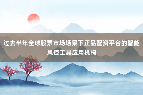 过去半年全球股票市场场景下正品配资平台的智能风控工具应用机构