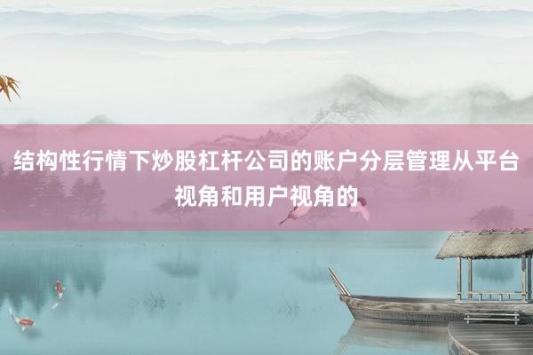 结构性行情下炒股杠杆公司的账户分层管理从平台视角和用户视角的