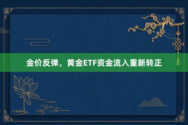 金价反弹，黄金ETF资金流入重新转正