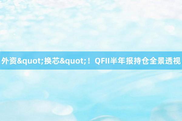 外资"换芯"！QFII半年报持仓全景透视