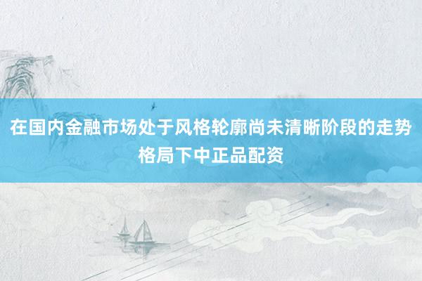 在国内金融市场处于风格轮廓尚未清晰阶段的走势格局下中正品配资