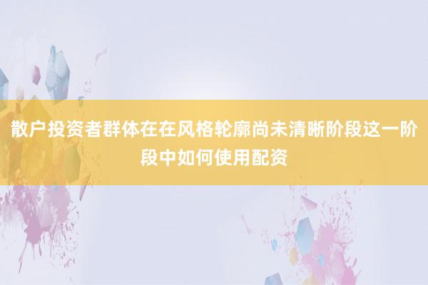 散户投资者群体在在风格轮廓尚未清晰阶段这一阶段中如何使用配资