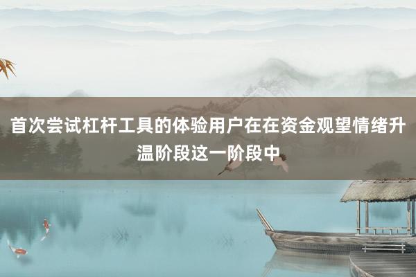 首次尝试杠杆工具的体验用户在在资金观望情绪升温阶段这一阶段中