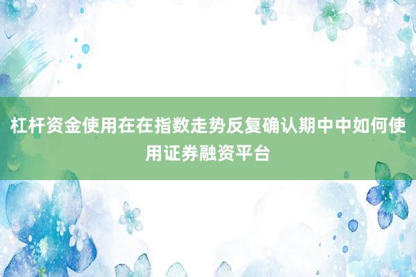 杠杆资金使用在在指数走势反复确认期中中如何使用证券融资平台