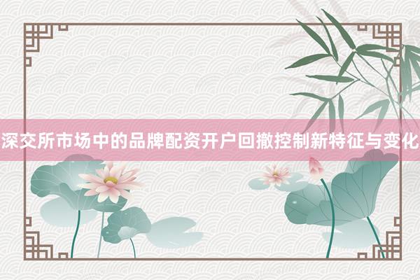 深交所市场中的品牌配资开户回撤控制新特征与变化