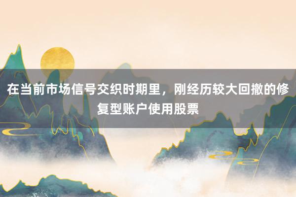 在当前市场信号交织时期里，刚经历较大回撤的修复型账户使用股票