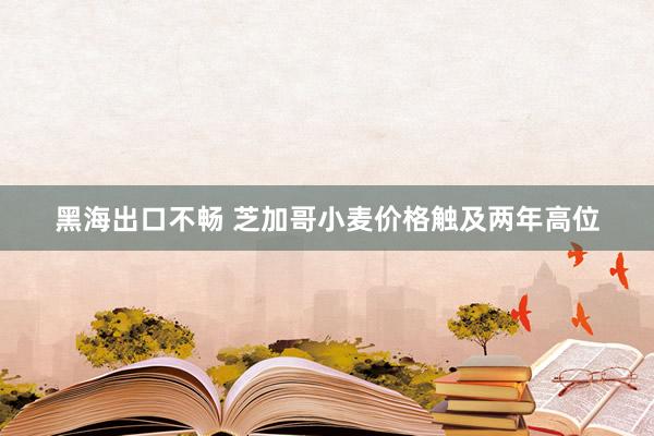 黑海出口不畅 芝加哥小麦价格触及两年高位