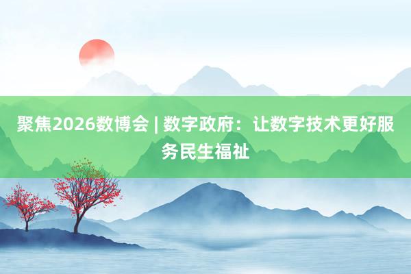 聚焦2026数博会 | 数字政府：让数字技术更好服务民生福祉