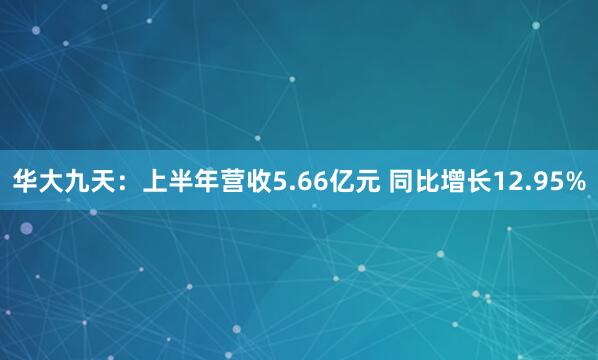 华大九天：上半年营收5.66亿元 同比增长12.95%