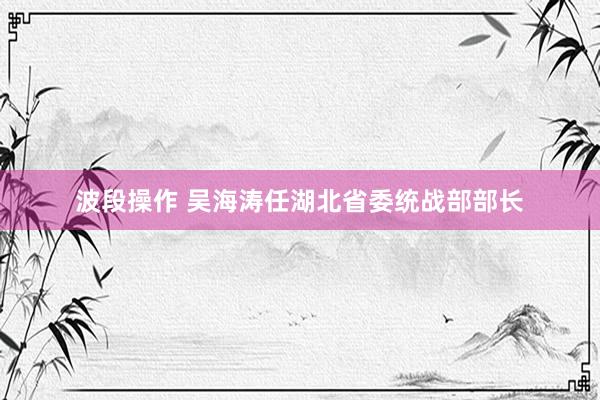 波段操作 吴海涛任湖北省委统战部部长